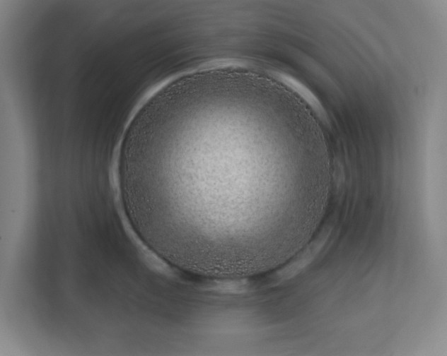 X0000113121055200909041302