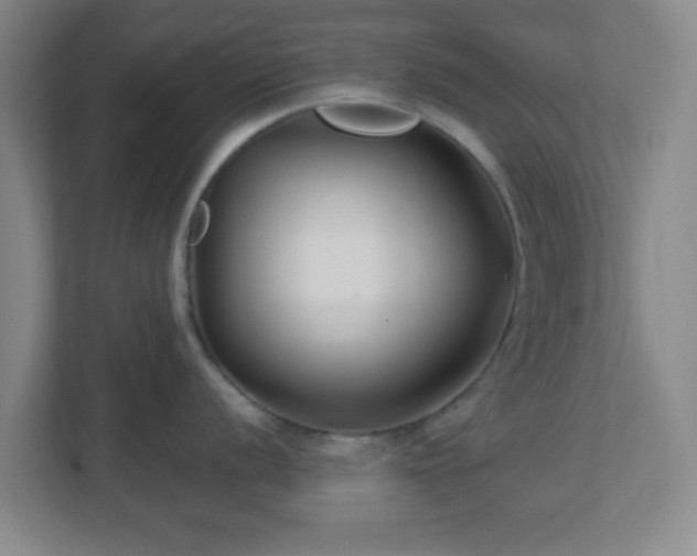 X0000113121056200909041302