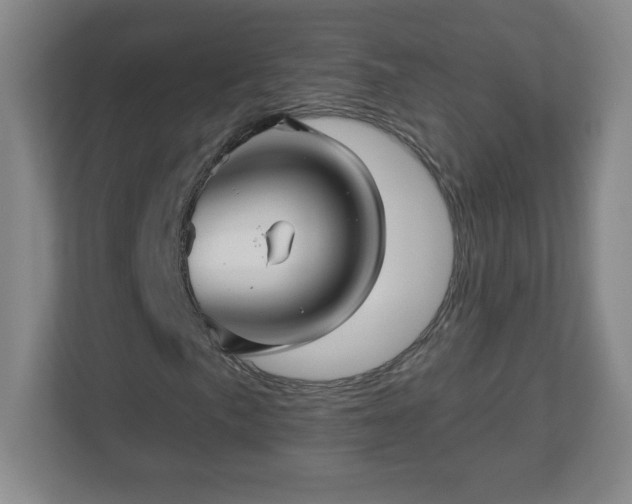 X0000113121057200909041301