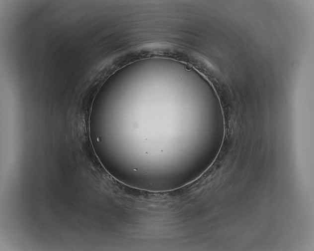 X0000113121062200909041301