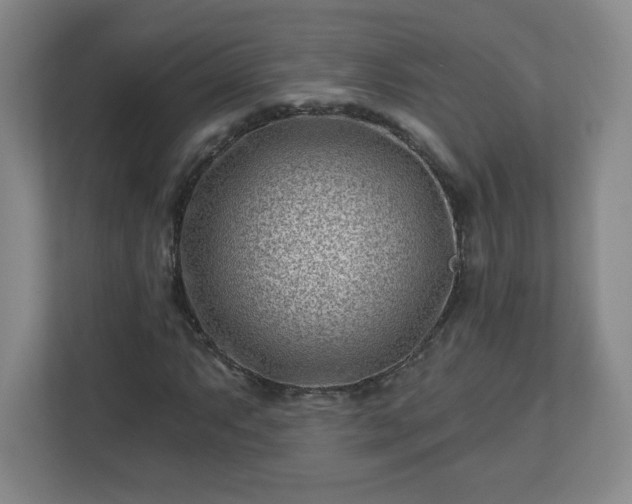 X0000113121063200909041301