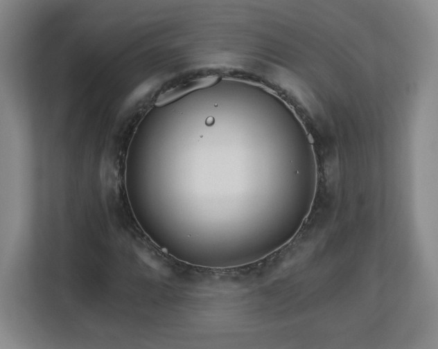 X0000113121064200909041301