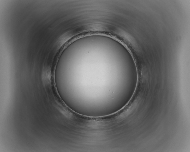 X0000113121065200909041301