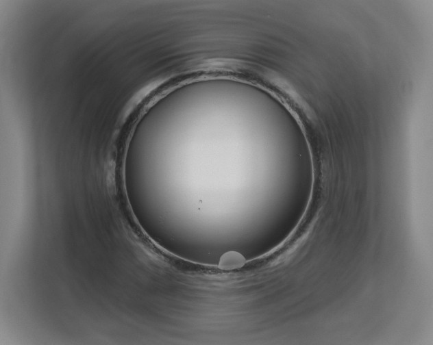 X0000113121066200909041301