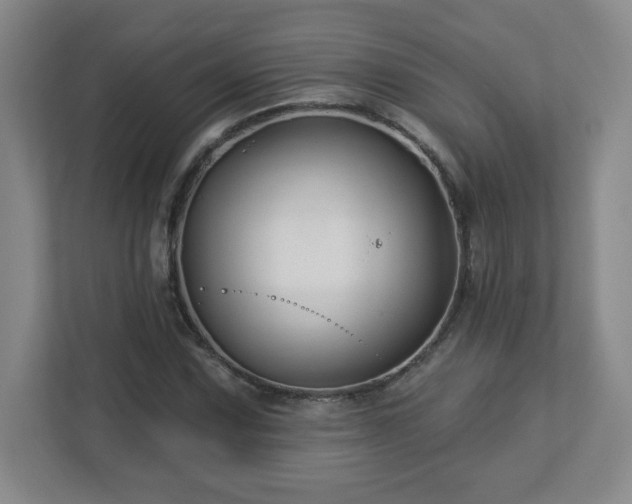 X0000113121067200909041301