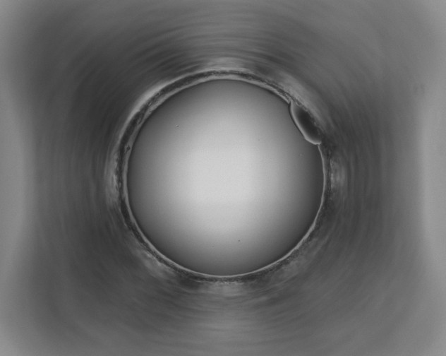 X0000113121068200909041301