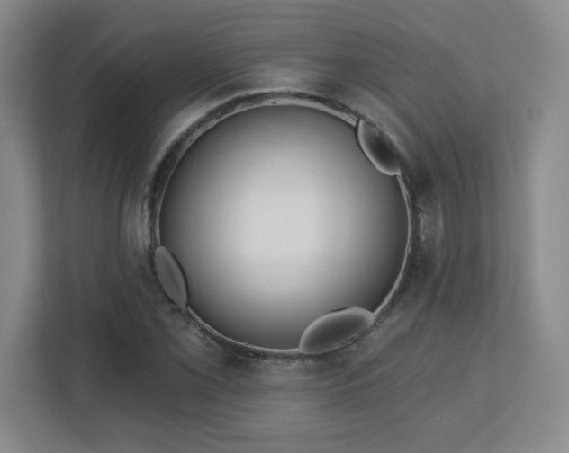 X0000113121069200909041301