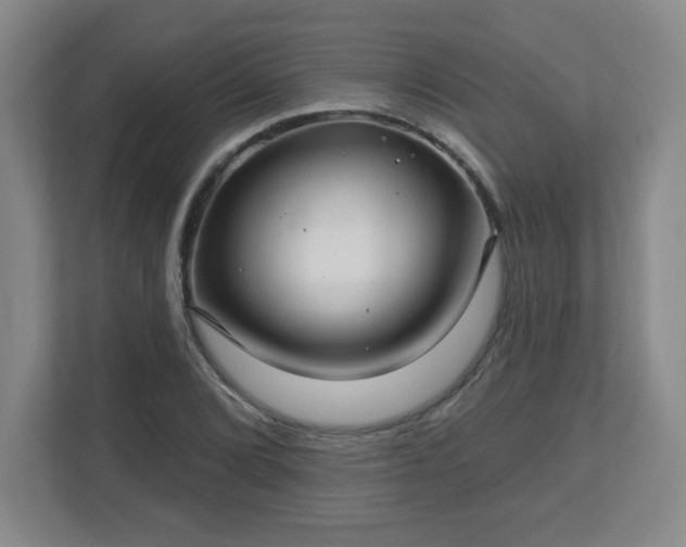 X0000113121072200909041301