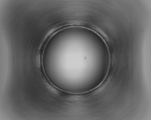 X0000113121075200909041301