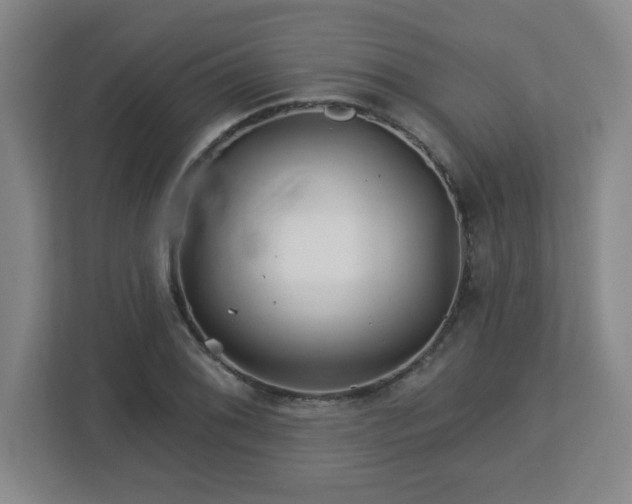 X0000113121076200909041301