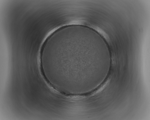 X0000113121077200909041301