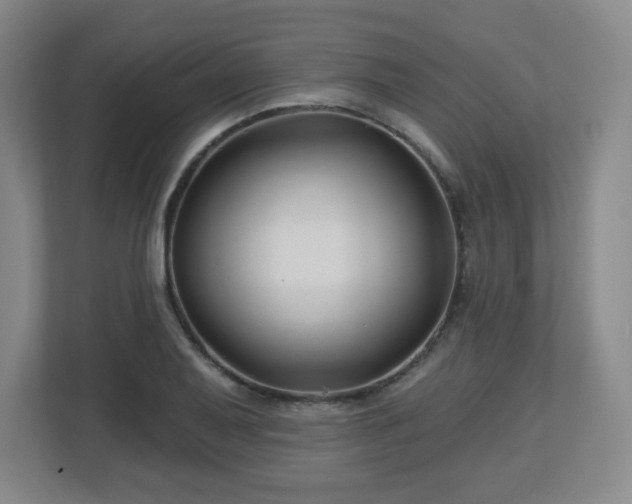 X0000113121079200909041301