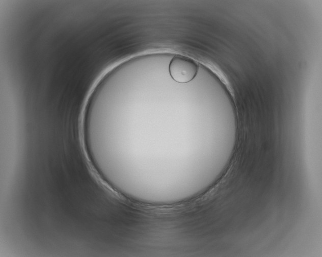 X0000113121080200909041301