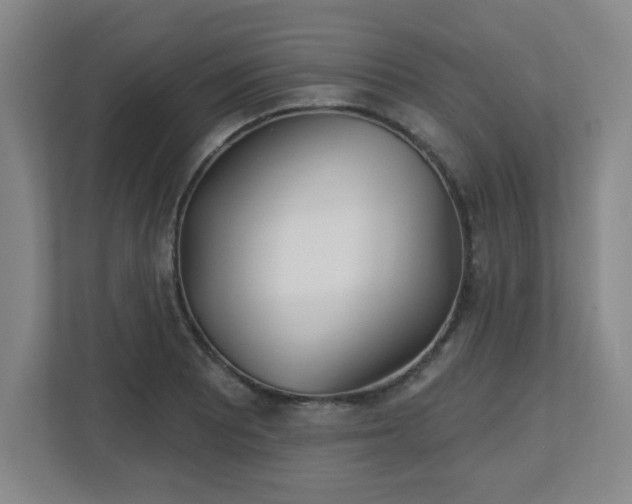 X0000113121081200909041301