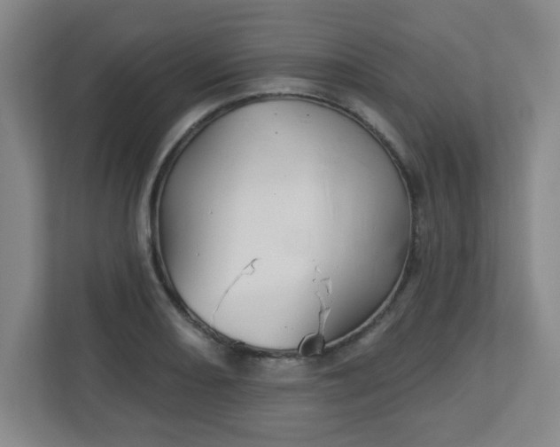 X0000113121082200909041301