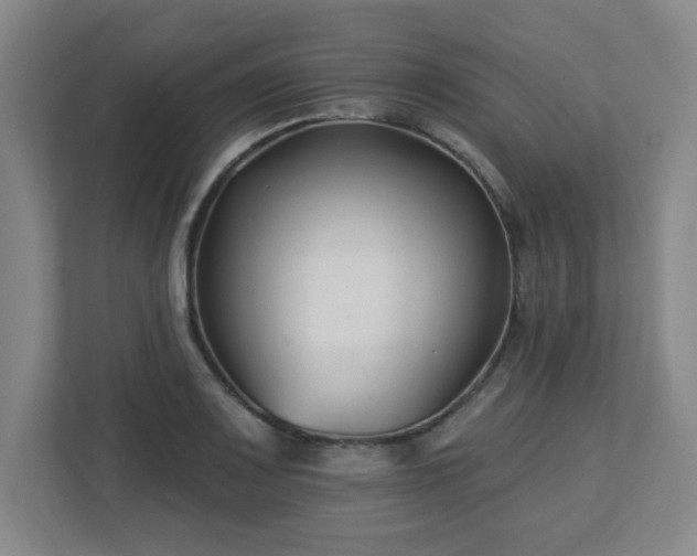 X0000113121083200909041301