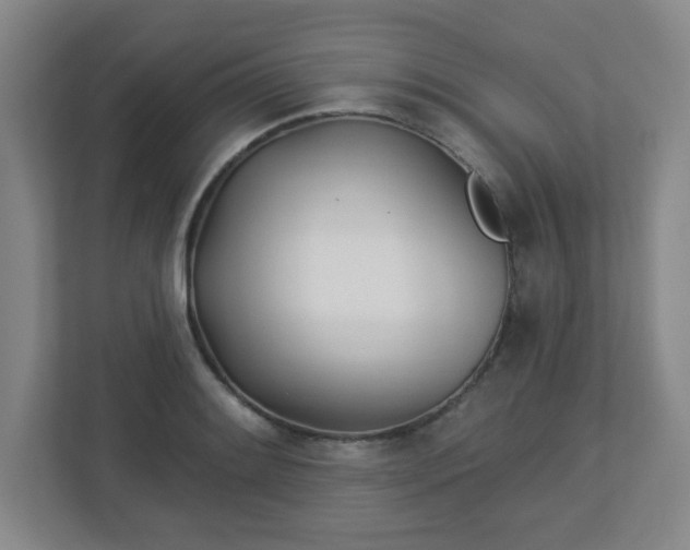 X0000113121084200909041301