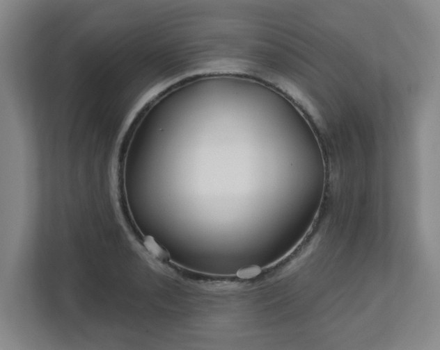 X0000113121085200909041301