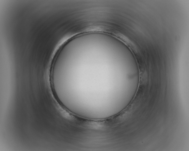 X0000113121086200909041301