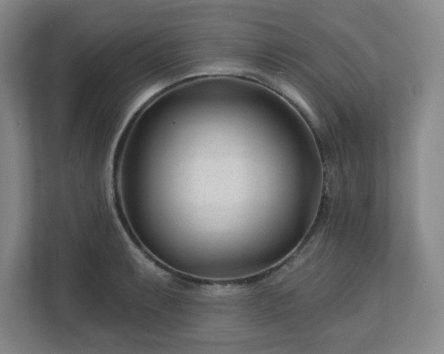 X0000113121087200909041301