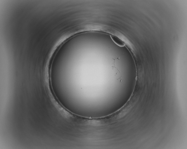 X0000113121088200909041301