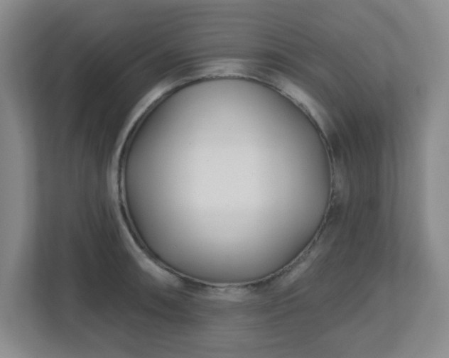 X0000113121090200909041301