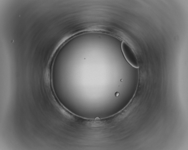 X0000113121092200909041301