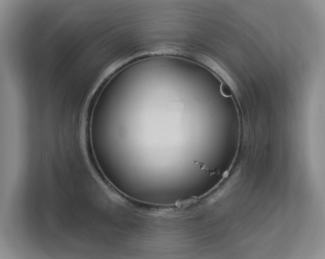 X0000113121093200909041301