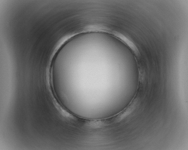 X0000113121094200909041301