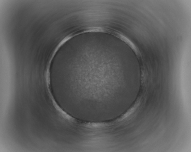 X0000113121095200909041301