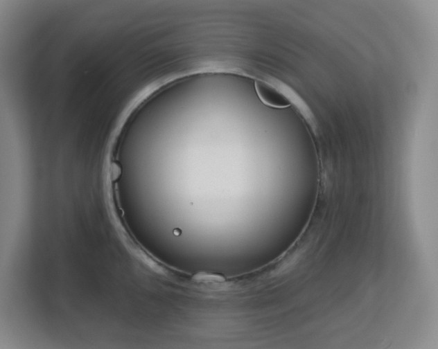 X0000113121096200909041301