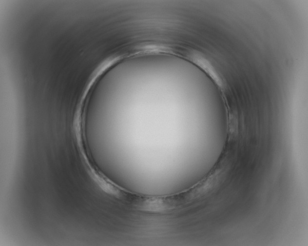 X0000113121098200909041301