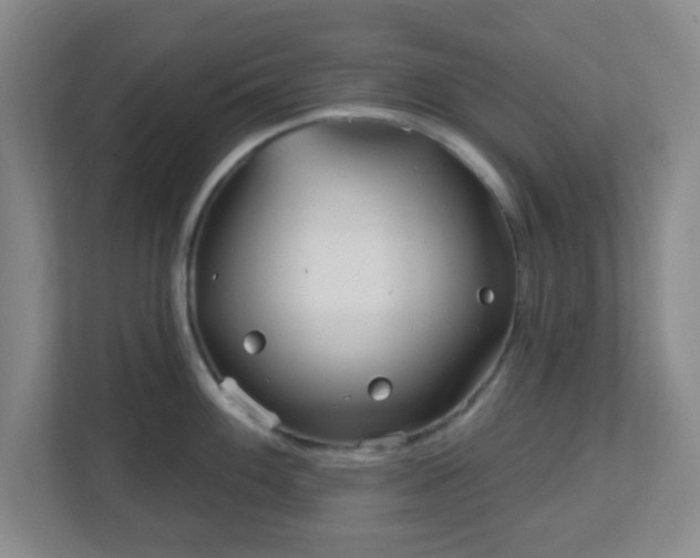 X0000113121100200909041301