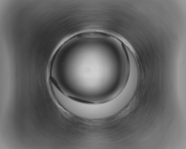 X0000113121101200909041301