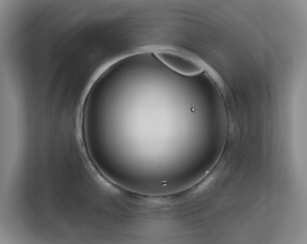 X0000113121102200909041301