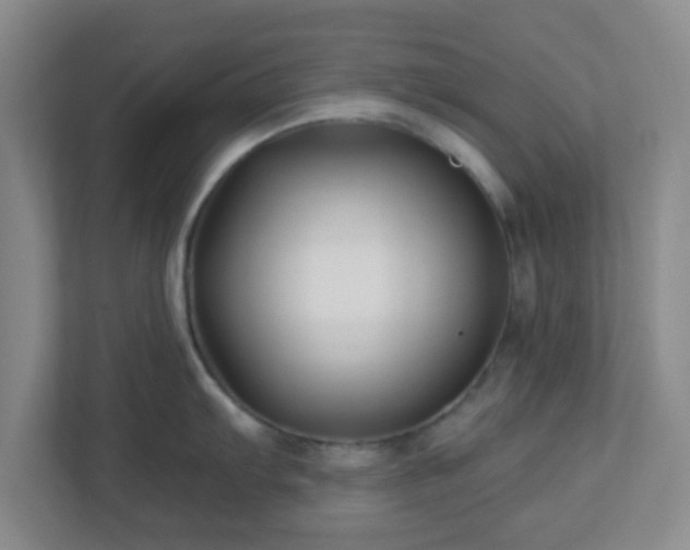 X0000113121103200909041301