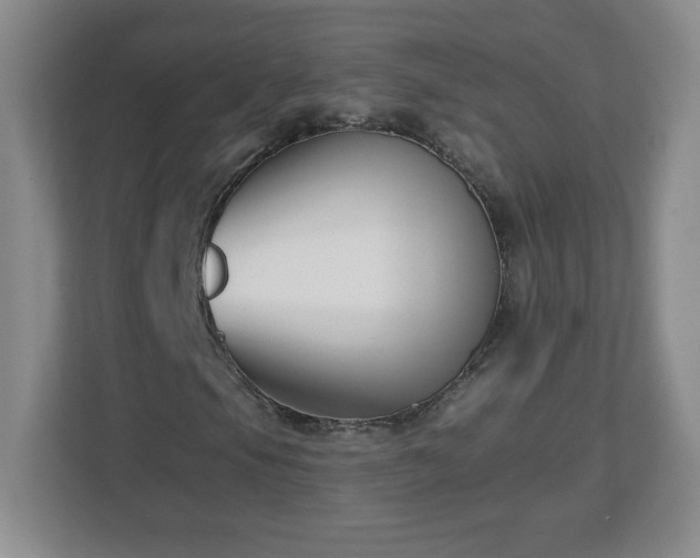 X0000113121105200909041300