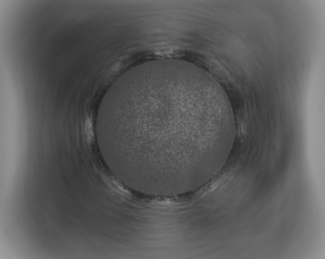 X0000113121106200909041300