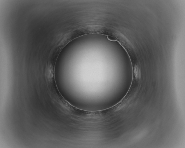 X0000113121107200909041300