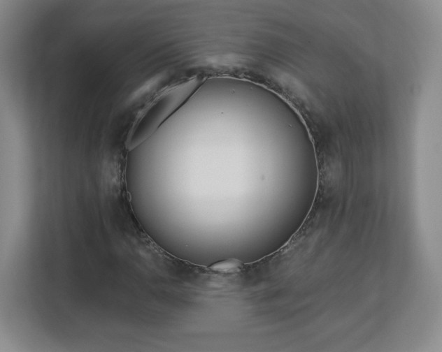 X0000113121110200909041300