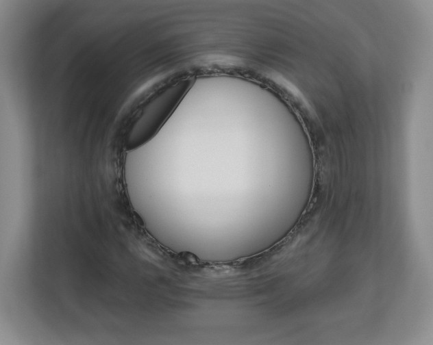 X0000113121112200909041300