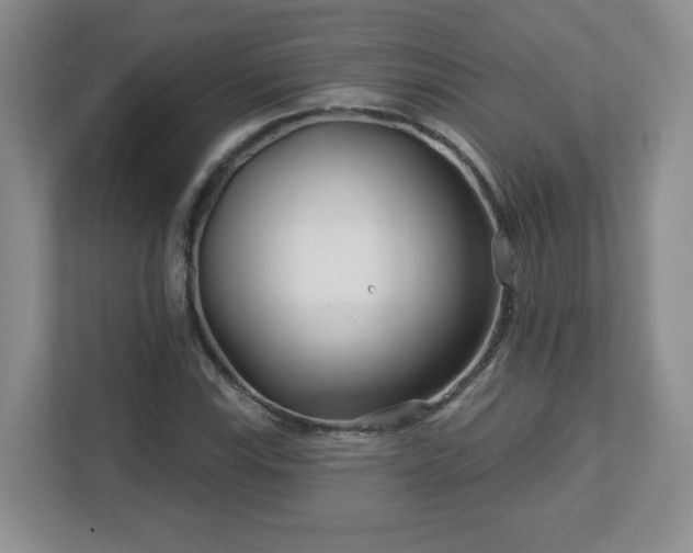 X0000113121115200909041300