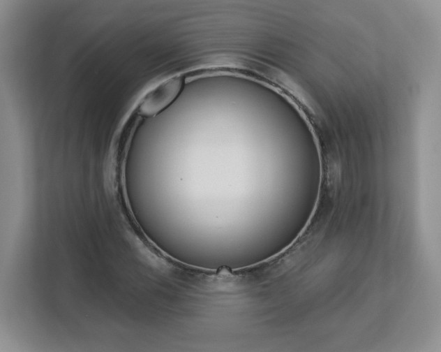 X0000113121116200909041300