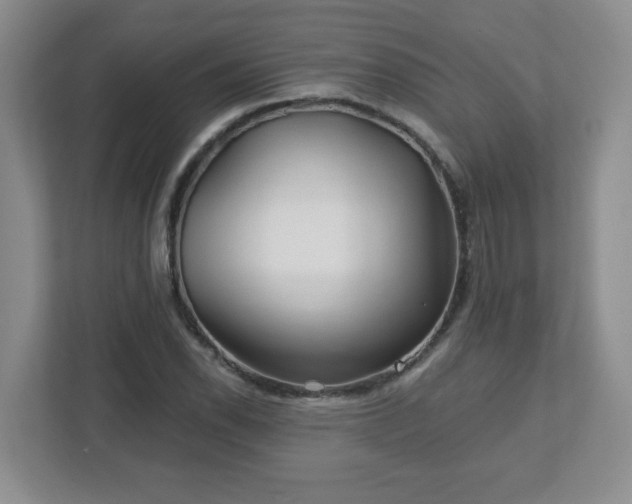 X0000113121118200909041300