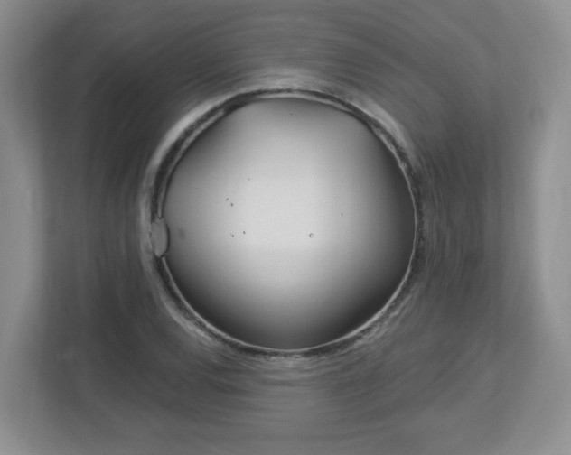 X0000113121120200909041300