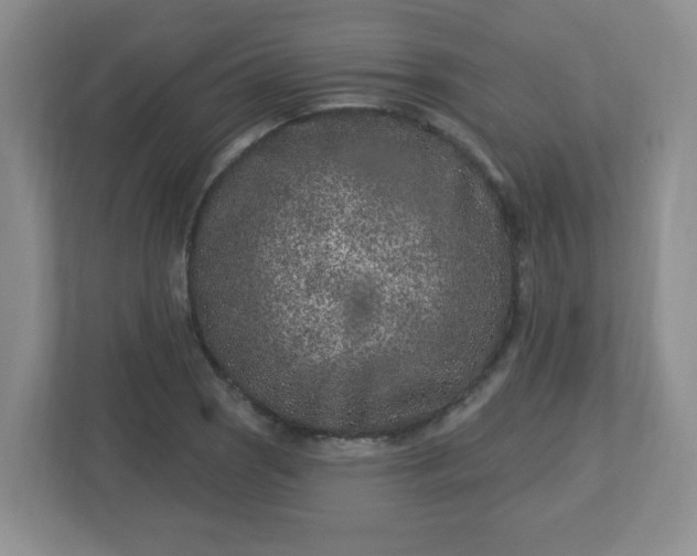 X0000113121121200909041300