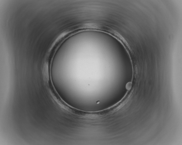 X0000113121123200909041300