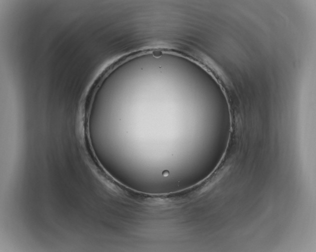 X0000113121124200909041300