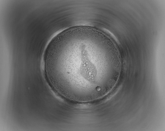 X0000113121125200909041300