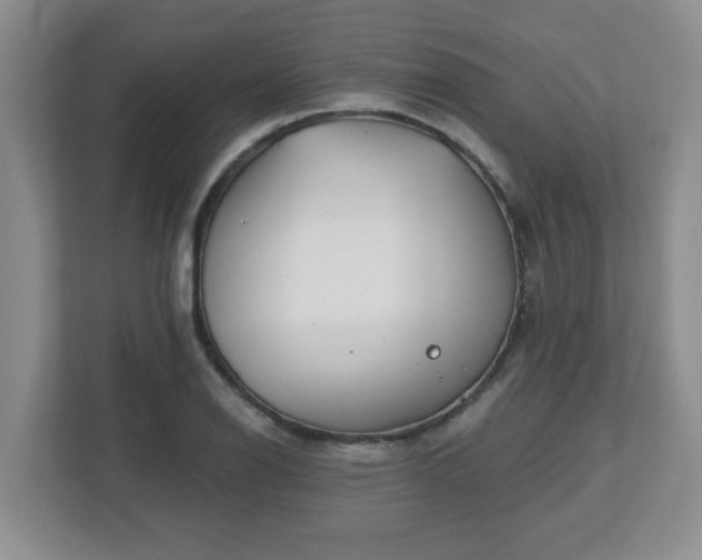 X0000113121126200909041300